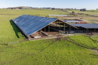 Agriculture,  Old Adobe road, Petaluma, CA 94954 - 18