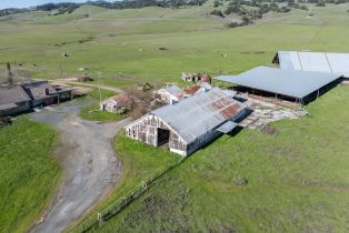 Agriculture,  Old Adobe road, Petaluma, CA 94954 - 8