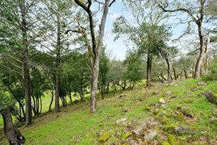 Residential Lot,  Old Bennett Ridge road, Santa Rosa, CA 95404 - 13