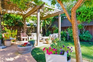 Single Family Residence,  Glen court, Napa, CA 94558 - 28