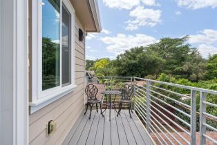 Single Family Residence,  Theodor lane, Sonoma, CA 95476 - 44
