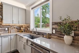 Single Family Residence,  Theodor lane, Sonoma, CA 95476 - 22
