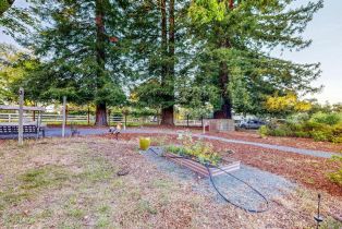 Single Family Residence,  Laguna road, Santa Rosa, CA 95401 - 75