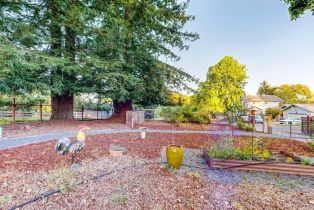 Single Family Residence,  Laguna road, Santa Rosa, CA 95401 - 73