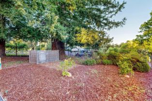 Single Family Residence,  Laguna road, Santa Rosa, CA 95401 - 83