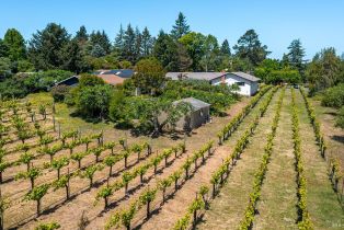 Single Family Residence, Ferguson court, Sebastopol, CA 95472 - 40