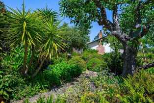 Single Family Residence, Ferguson court, Sebastopol, CA 95472 - 36