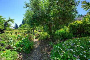 Single Family Residence, Ferguson court, Sebastopol, CA 95472 - 34