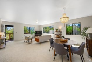 Single Family Residence, Ferguson court, Sebastopol, CA 95472 - 27