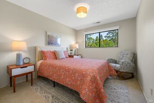 Single Family Residence, Ferguson court, Sebastopol, CA 95472 - 19