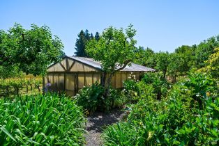 Single Family Residence, Ferguson court, Sebastopol, CA 95472 - 35