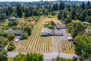 Single Family Residence, Ferguson court, Sebastopol, CA 95472 - 3