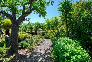 Single Family Residence, Ferguson court, Sebastopol, CA 95472 - 33