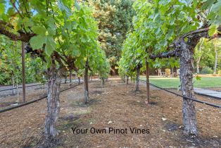 Single Family Residence,  Laughlin road, Russian River, CA 95446 - 49