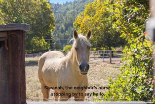 Single Family Residence,  Laughlin road, Russian River, CA 95446 - 43