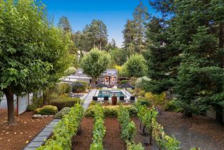 Single Family Residence,  Laughlin road, Russian River, CA 95446 - 48