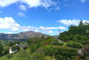 Single Family Residence,  Crestridge place, Santa Rosa, CA 95409 - 45