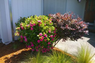 Single Family Residence,  Crestridge place, Santa Rosa, CA 95409 - 47