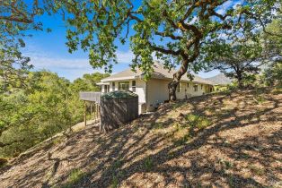 Single Family Residence,  Crestridge place, Santa Rosa, CA 95409 - 33