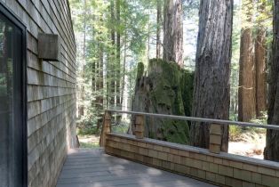 Single Family Residence,  East Ridge road, Sea Ranch, CA 95497 - 9