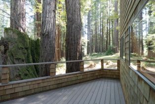 Single Family Residence,  East Ridge road, Sea Ranch, CA 95497 - 8
