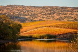 Single Family Residence, Hardman avenue, Napa, CA 94558 - 56