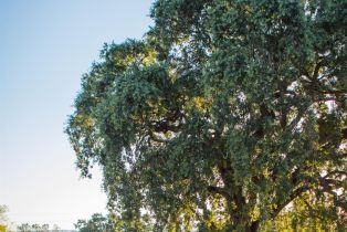 Single Family Residence, Hardman avenue, Napa, CA 94558 - 48
