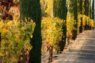 Single Family Residence, Hardman avenue, Napa, CA 94558 - 3