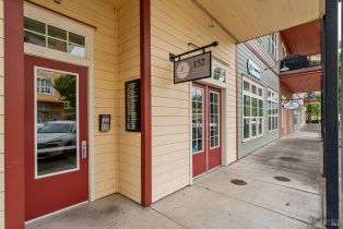Condominium,  Johnson street, Windsor, CA 95492 - 30