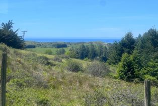 Single Family Residence,  Muniz Ranch road, Jenner, CA 95450 - 55
