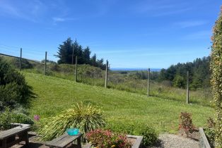 Single Family Residence,  Muniz Ranch road, Jenner, CA 95450 - 54