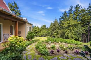 Single Family Residence,  Muniz Ranch road, Jenner, CA 95450 - 49