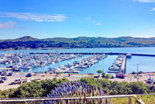 Single Family Residence,  Bay Flat road, Bodega Bay, CA 94923 - 15
