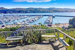 Single Family Residence,  Bay Flat road, Bodega Bay, CA 94923 - 4