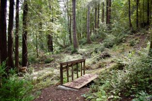 Residential Lot,  Old Monte Rio road, Russian River, CA 95446 - 16