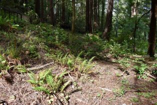 Residential Lot,  Old Monte Rio road, Russian River, CA 95446 - 27