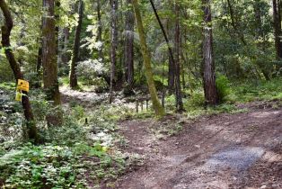 Residential Lot,  Old Monte Rio road, Russian River, CA 95446 - 9