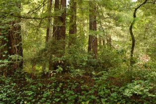 Residential Lot,  Old Monte Rio road, Russian River, CA 95446 - 3