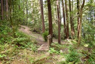 Residential Lot,  Old Monte Rio road, Russian River, CA 95446 - 23