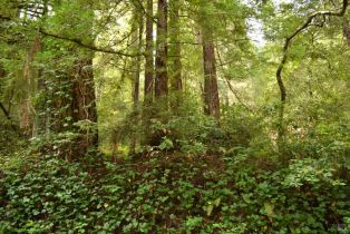 Residential Lot,  Old Monte Rio road, Russian River, CA 95446 - 4