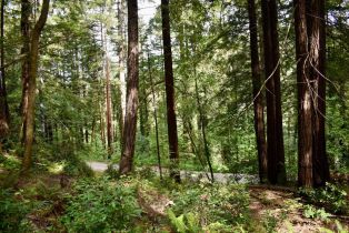 Residential Lot,  Old Monte Rio road, Russian River, CA 95446 - 22