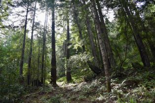 Residential Lot,  Old Monte Rio road, Russian River, CA 95446 - 20