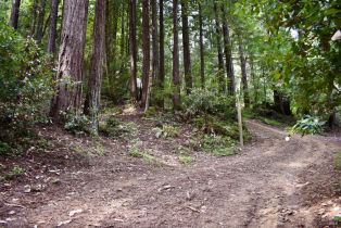 Residential Lot,  Old Monte Rio road, Russian River, CA 95446 - 12