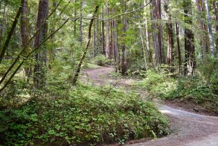 Residential Lot,  Old Monte Rio road, Russian River, CA 95446 - 8