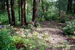 Residential Lot,  Old Monte Rio road, Russian River, CA 95446 - 19