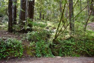 Residential Lot,  Old Monte Rio road, Russian River, CA 95446 - 7