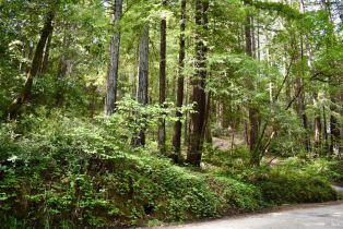 Residential Lot,  Old Monte Rio road, Russian River, CA 95446 - 6