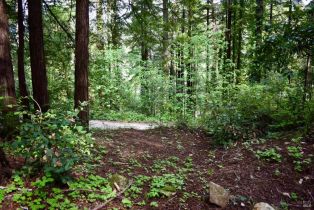 Residential Lot,  Old Monte Rio road, Russian River, CA 95446 - 28