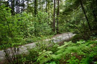 Residential Lot,  Old Monte Rio road, Russian River, CA 95446 - 31