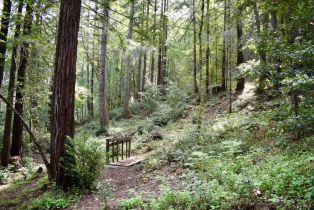 Residential Lot,  Old Monte Rio road, Russian River, CA 95446 - 14